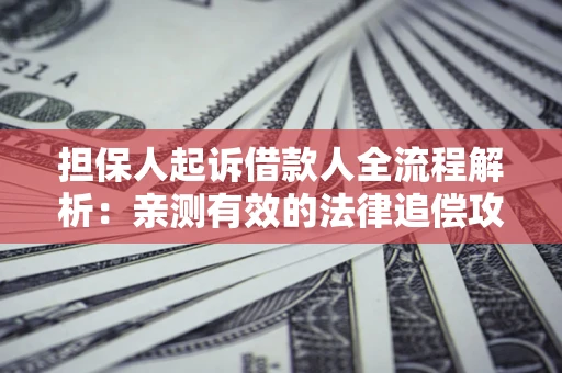 北京担保人起诉借款人全流程解析：亲测有效的法律追偿攻略