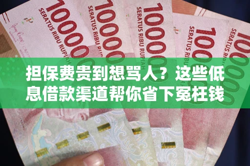 北京担保费贵到想骂人？这些低息借款渠道帮你省下冤枉钱