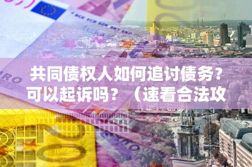 北京共同债权人如何追讨债务？可以起诉吗？（速看合法攻略）